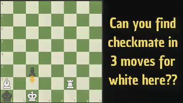 3 mover checkmate with a clever solution